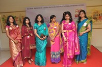 Srimathi Silk Mark Hyderabad 2013 Beauty Contest Auditions